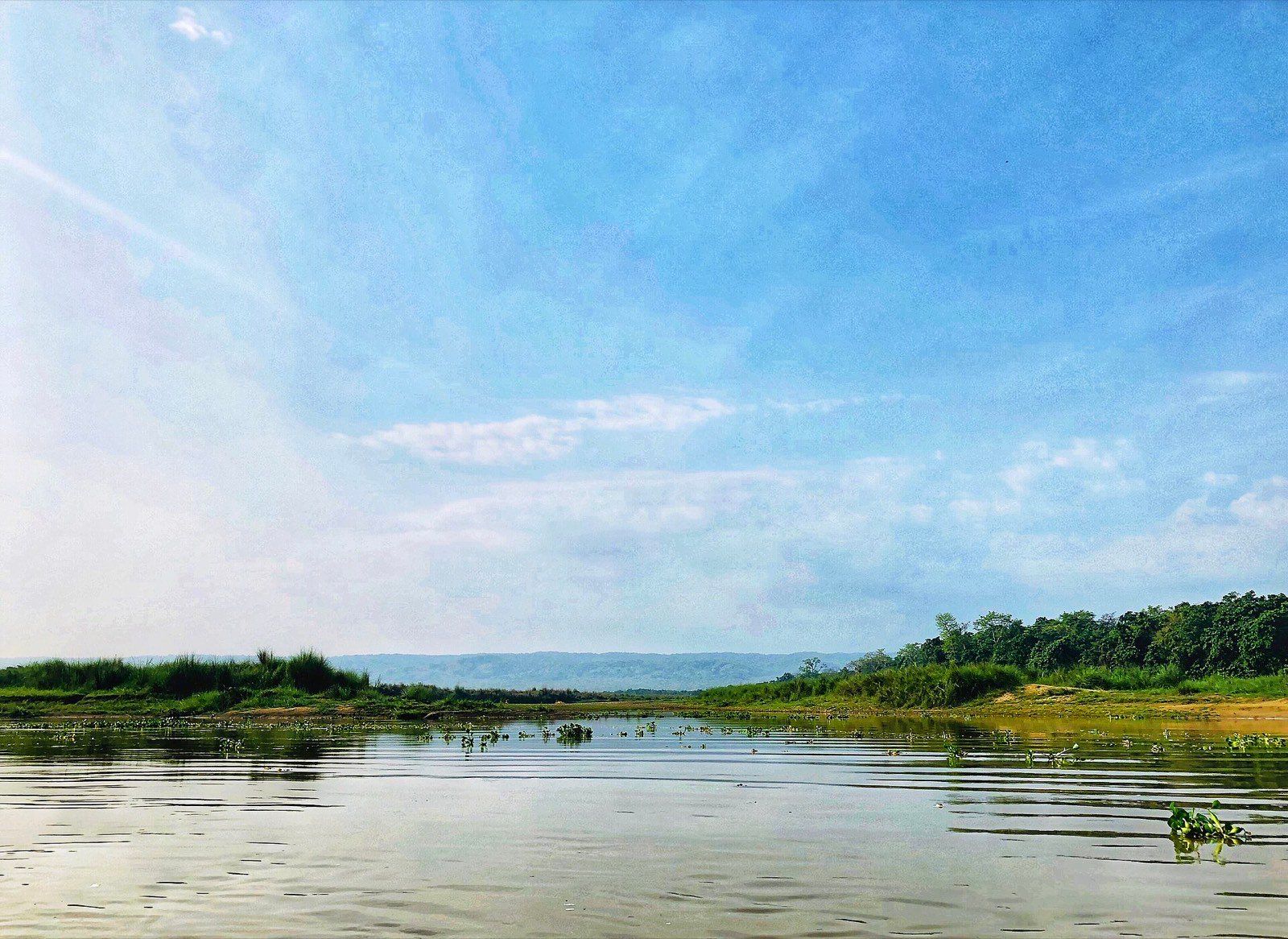 In Search of Bengal Tiger