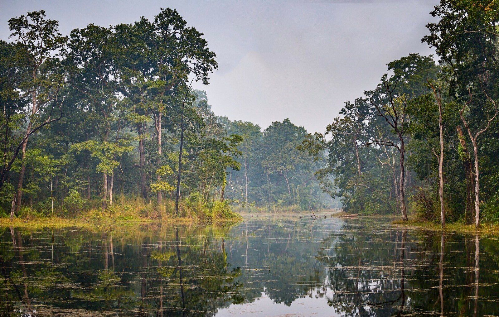Wildlife & Nature-Terai Plains