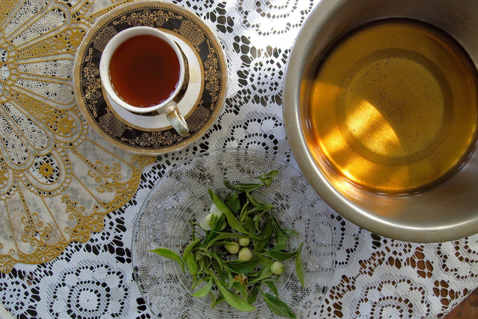Darjeeling India Darjeeling Tea