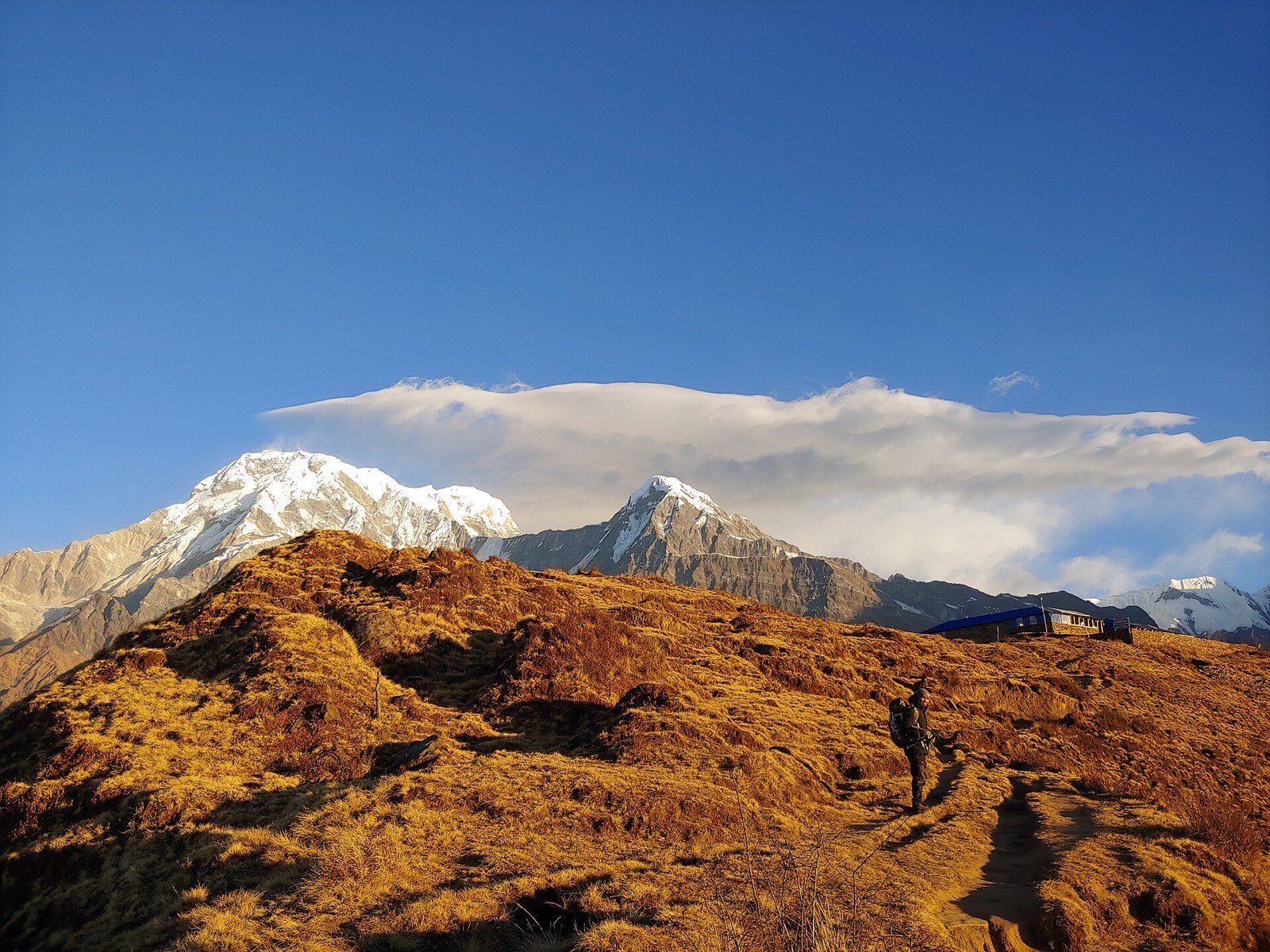 Mardi Himal (Machhapuchhre Model) Trek