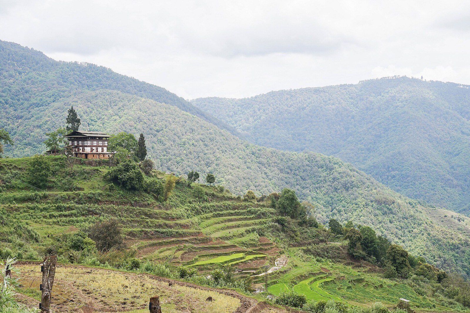 Druk Path Trek